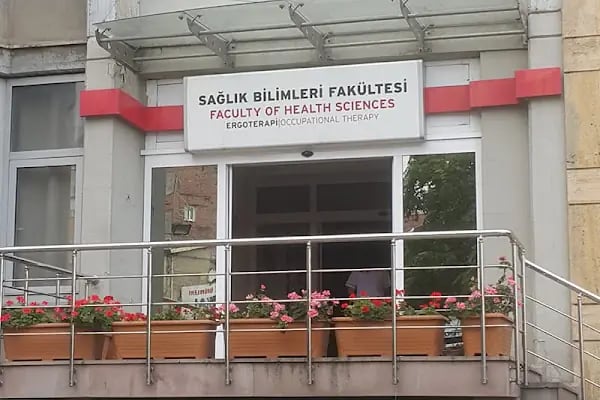Hacettepe Üniversitesi Sağlık Bilimleri Fakültesi Ergoterapi - Resim 4