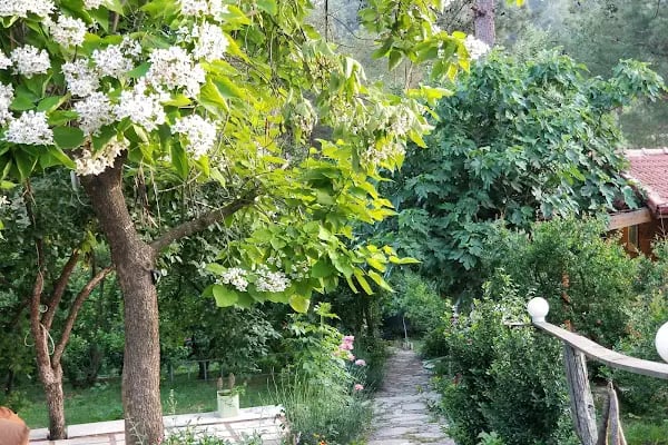 Arykandos Dağ Evi Camping Restaurant - Resim 18