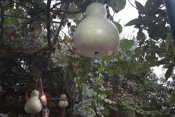 Arykandos Dağ Evi Camping Restaurant - Resim 12