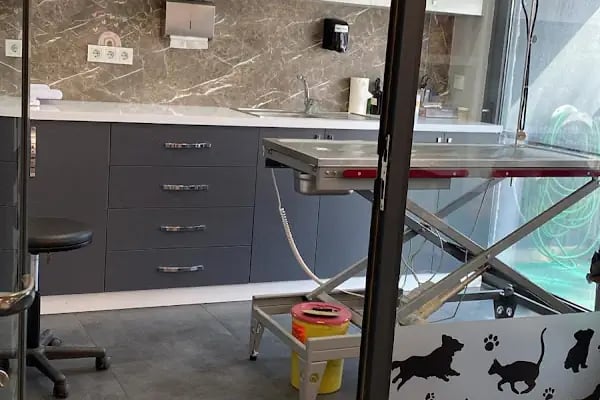 Bodrum Vet Animal Veteriner Muayenehanesi - Resim 14