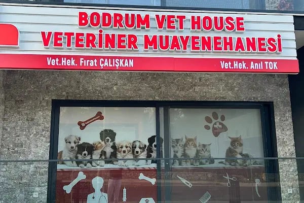 Bodrum Vet Animal Veteriner Muayenehanesi - Resim 15