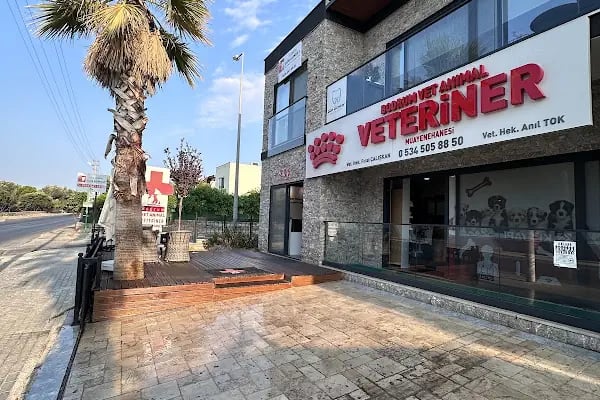 Bodrum Vet Animal Veteriner Muayenehanesi - Resim 4