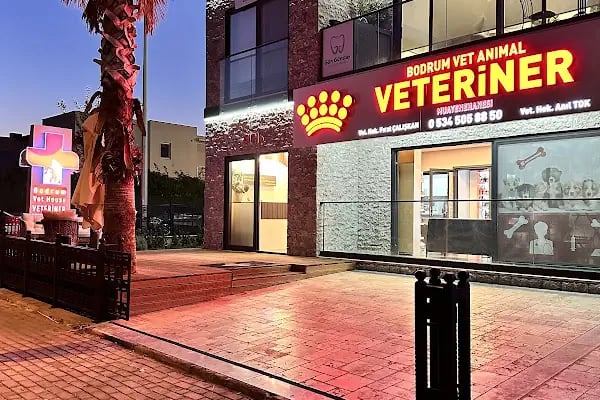 Bodrum Vet Animal Veteriner Muayenehanesi - Resim 11