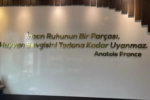 Bodrum Vet Animal Veteriner Muayenehanesi - Resim 16