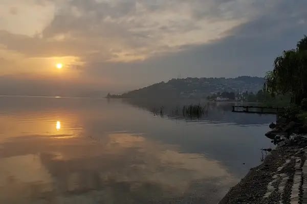 Adapazarı Belediyesi Sahipsiz Hayvanlar Geçici Bakımevi - Resim 15