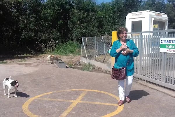 Adapazarı Belediyesi Sahipsiz Hayvanlar Geçici Bakımevi - Resim 5