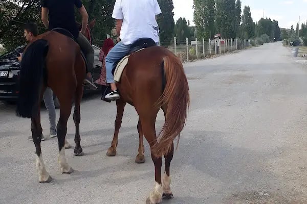 At Çiftliği Hayvanat Bahçesi - Resim 2