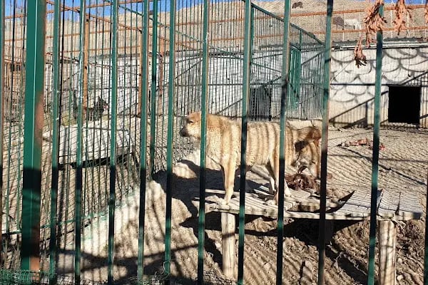 At Çiftliği Hayvanat Bahçesi - Resim 1
