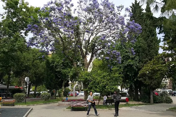 Nisa Serezli Parkı - Resim 4