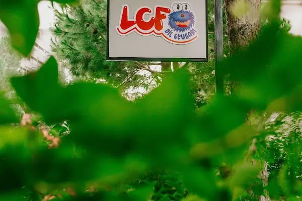 LCF DİL OKULLARI - Resim 7