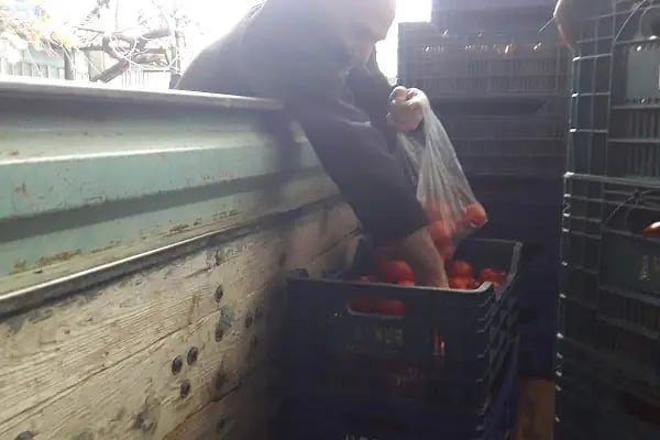 Çözmeoğlu Oto Yıkama - Resim 5