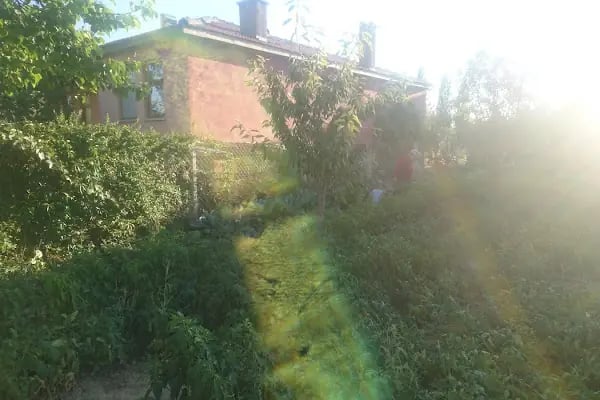 Büğdüz - Resim 5