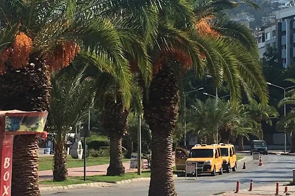 Alanya Final Özel Öğretim Kursu - Resim 7