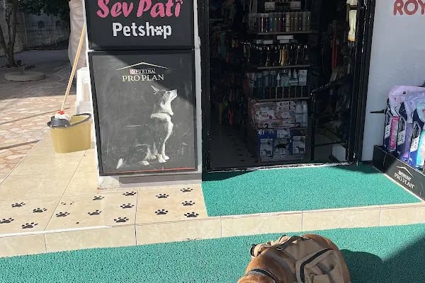 Sevpati Petshop - Resim 4