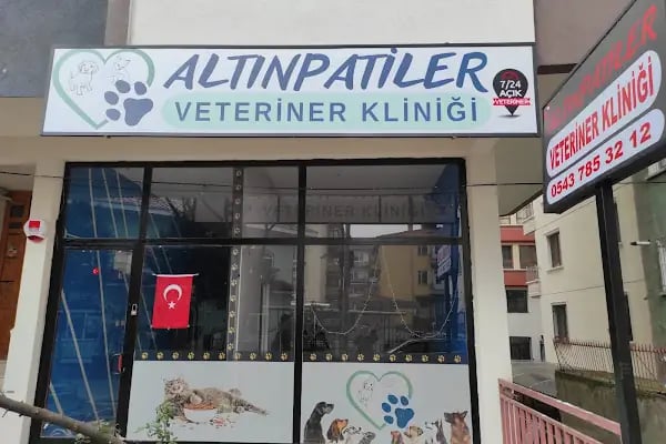 Altınpatiler Veteriner Kliniği - Resim 4