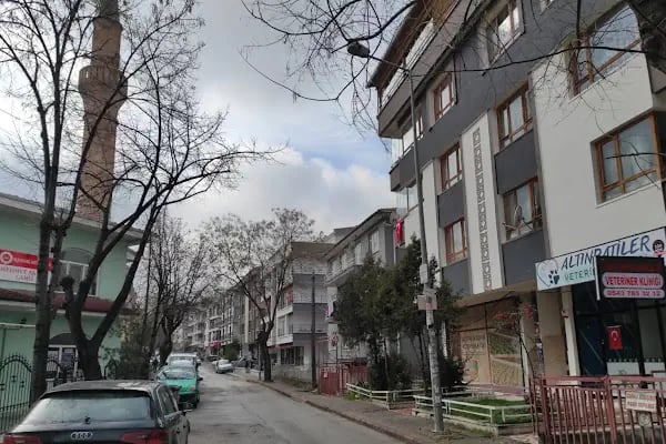 Altınpatiler Veteriner Kliniği - Resim 6