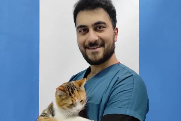 Altınpatiler Veteriner Kliniği - Resim 8