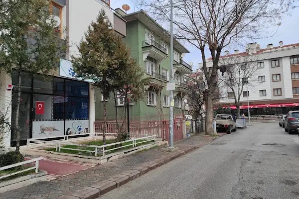 Altınpatiler Veteriner Kliniği - Resim 2