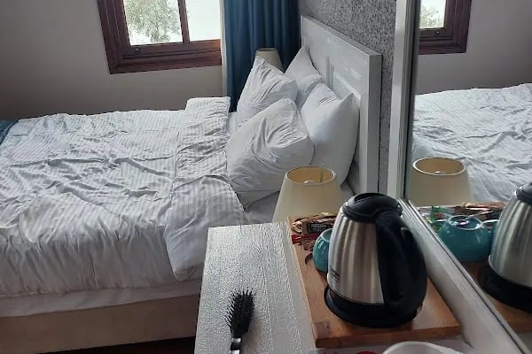 Ulivo Hotel - Resim 19