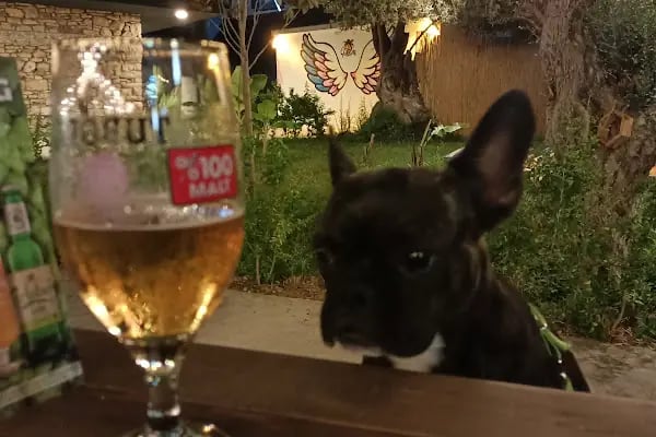 Uğrak Sera Aile Çay Bahçesi - Resim 18