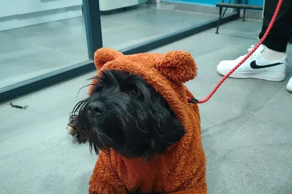Vetpool Veteriner Kliniği - Kocaeli Başiskele Veteriner - Resim 9