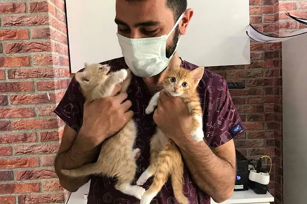 Vet Plus Veteriner Kliniği - Resim 20