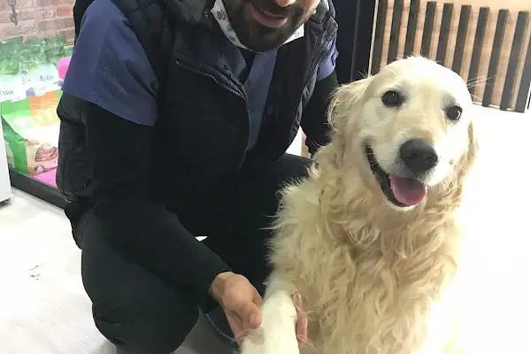Vet Plus Veteriner Kliniği - Resim 10