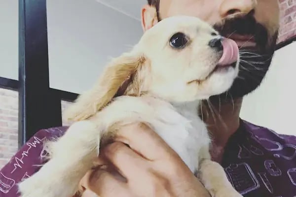 Vet Plus Veteriner Kliniği - Resim 18