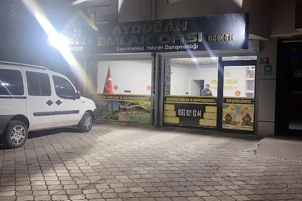 Tweety Group Rent a Car - Resim 1