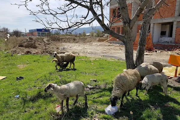 Akşehir Kaymakamliği - Resim 19