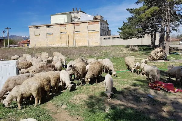 Akşehir Kaymakamliği - Resim 18