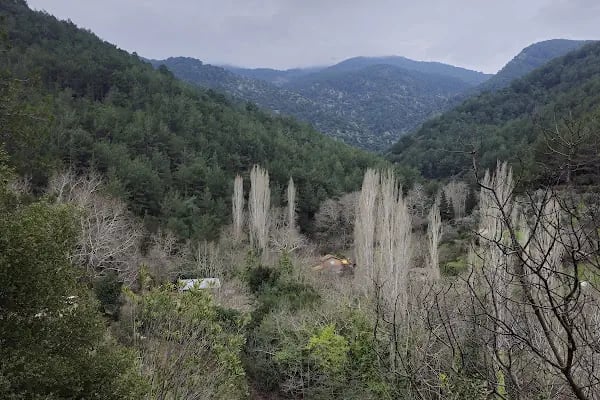 Narlıdere terapi ormanı - Resim 7