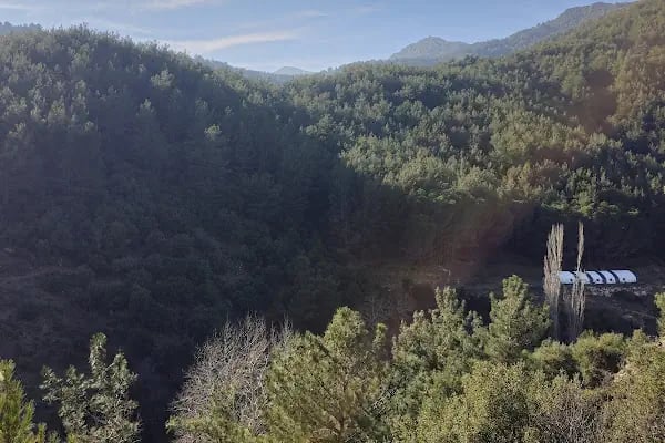 Narlıdere terapi ormanı - Resim 5