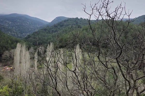 Narlıdere terapi ormanı - Resim 9