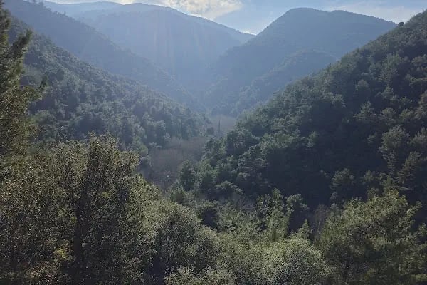 Narlıdere terapi ormanı - Resim 16