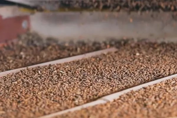 Özsarı Gıda | Bulgur Fabrikası | Merkez Binası - Resim 2