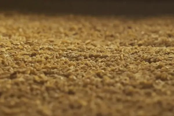Özsarı Gıda | Bulgur Fabrikası | Merkez Binası - Resim 15