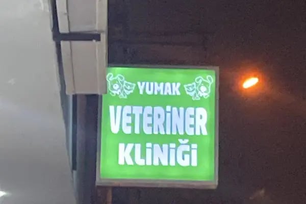 Yumak Veteriner Kliniği - Resim 12