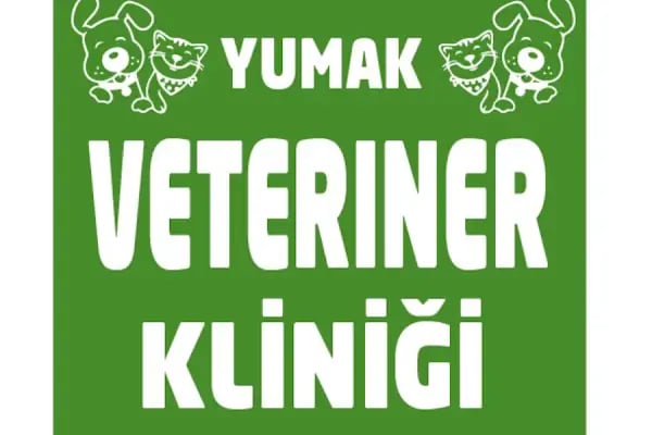 Yumak Veteriner Kliniği - Resim 14