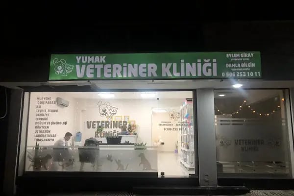 Yumak Veteriner Kliniği - Resim 6