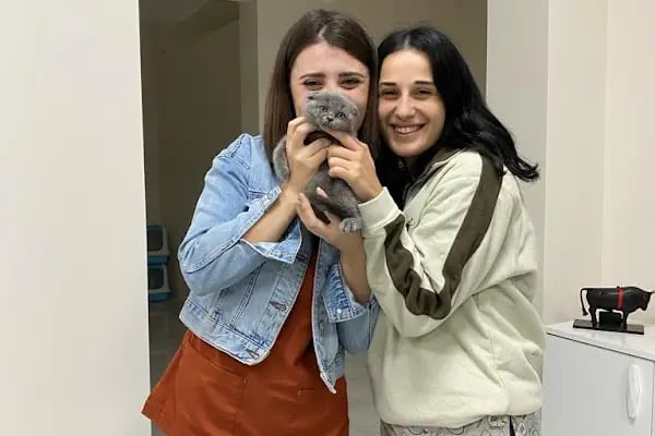 Yumak Veteriner Kliniği - Resim 10