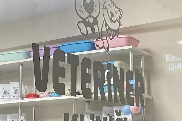 Yumak Veteriner Kliniği - Resim 13
