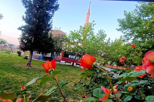 Hafız Mehmet Arabacıoğlu Camii - Resim 6