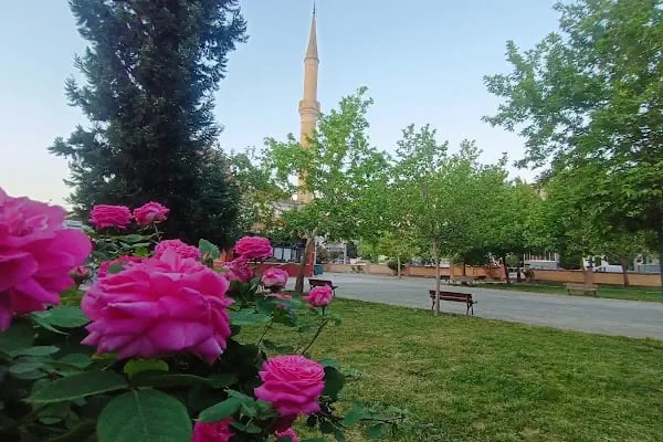 Hafız Mehmet Arabacıoğlu Camii - Resim 4