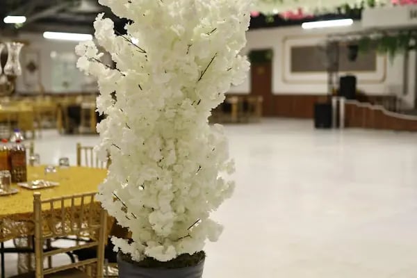Safir Düğün Salonları - Resim 9