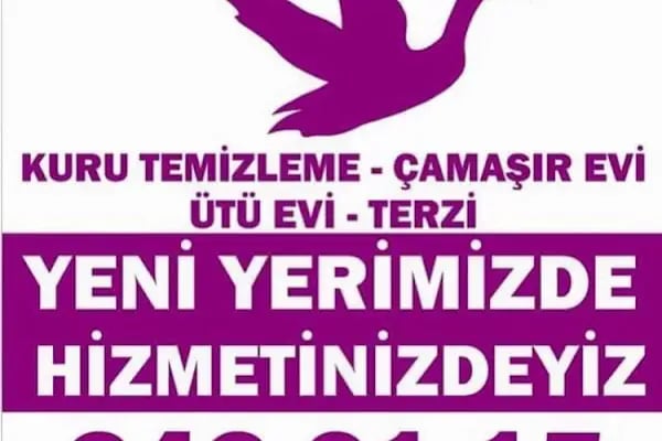 Mete ZENGİN - Resim 3