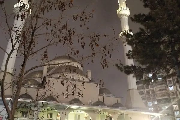 Kayalık Cami - Resim 20