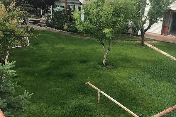 Beynam Dağ Orman Evleri - Resim 3