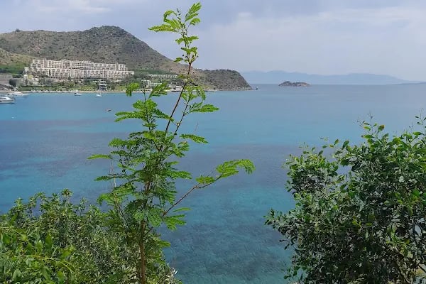 Bodrum Bunker Cafe &amp; Bistro - Resim 6