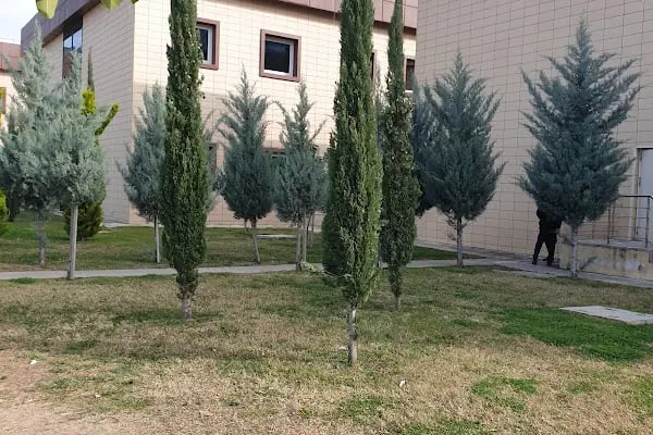 Alanya Eğitim ve Araştırma Hastanesi - Resim 11